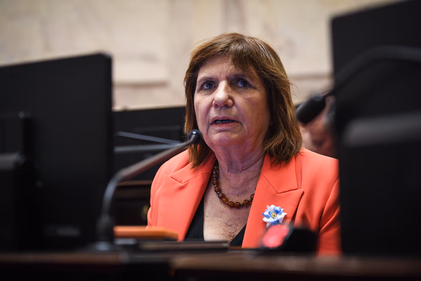 Patricia Bullrich dijo que las colectoras “deforman el sistema electoral” y puso reparos a la suspensión de las PASO 